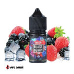 سالت تمشک توت فرنگی بلوبری یخ سامزویپ | SAMS VAPE Frozen Blast Berry |ویپ داریم