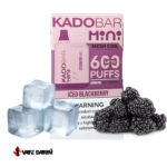 خرید پاد یکبار مصرف شاتوت یخ کادوبار مینی | Kadobar Mini Black Berry ICE 600 Puff |ویپ داریم