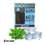 خرید پاد یکبار مصرف نعناء یخ کادوبار مینی | Kadobar Mini Simply Mint 600 Puff |ویپ داریم